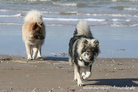 (Foto Goslar)_daenemark_2010_IMG_0928_Loekken_Strand.jpg